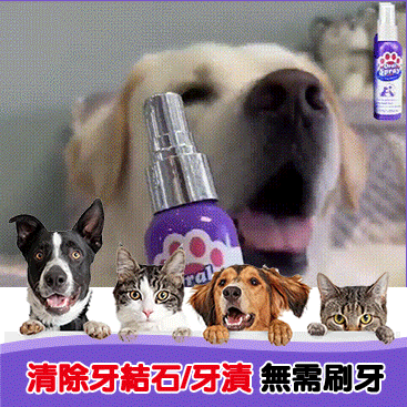 美國百萬熱銷 貓狗牙齒清潔噴霧/寵物不愛刷牙也不怕，植物成分可吞咽‼